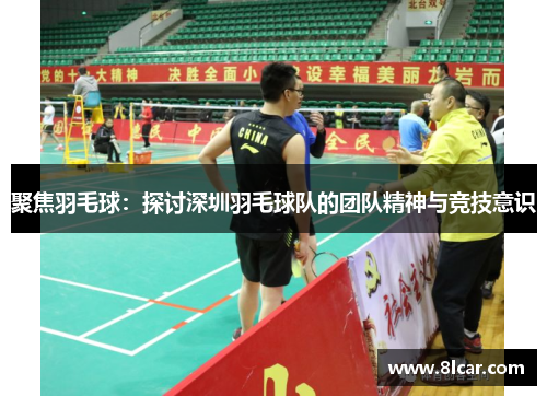 聚焦羽毛球：探讨深圳羽毛球队的团队精神与竞技意识