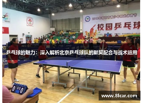 乒乓球的魅力：深入解析北京乒乓球队的默契配合与战术运用