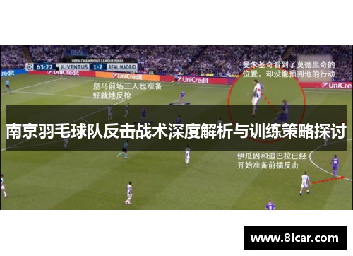 南京羽毛球队反击战术深度解析与训练策略探讨