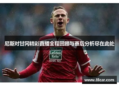 尼斯对甘冈精彩直播全程回顾与赛后分析尽在此处
